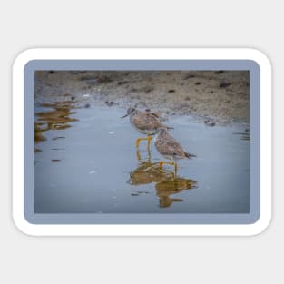 Yellowlegs Tiptoe Through The Water Sticker